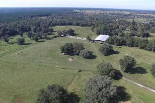 19350 NW 123rd Ct, Micanopy, FL 32667 - Photo 26