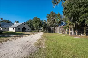 19350 NW 123rd Ct, Micanopy, FL 32667 - Photo 52