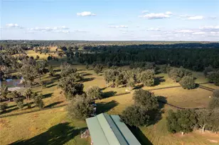 19350 NW 123rd Ct, Micanopy, FL 32667 - Photo 46