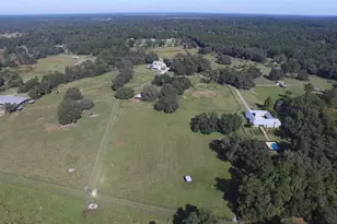 19350 NW 123rd Ct, Micanopy, FL 32667 - Photo 34