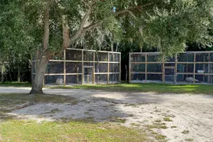 19350 NW 123rd Ct, Micanopy, FL 32667 - Photo 40