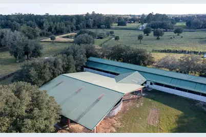 19350 NW 123rd Court, Micanopy, FL 32667 - Photo 48