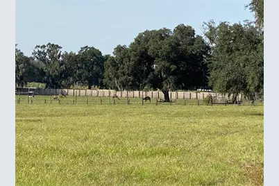 19350 NW 123rd Court, Micanopy, FL 32667 - Photo 44