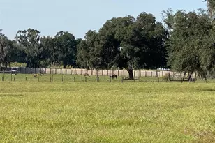 19350 NW 123rd Ct, Micanopy, FL 32667 - Photo 44