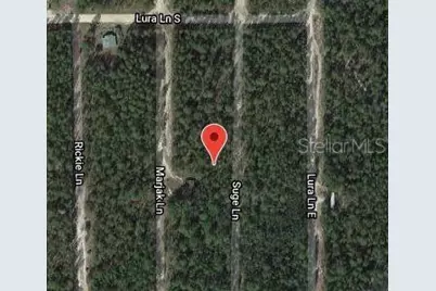 313 Suge Lane, Florahome, FL 32140 - Photo 2