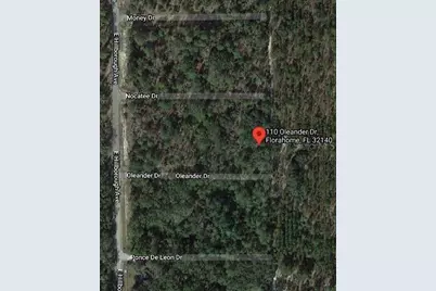 110 Oleander Drive, Florahome, FL 32140 - Photo 2