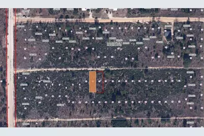 Willow St Street, Interlachen, FL 32148 - Photo 2
