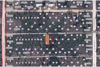 00 Willow St Street, Interlachen, FL 32148 - Photo 2
