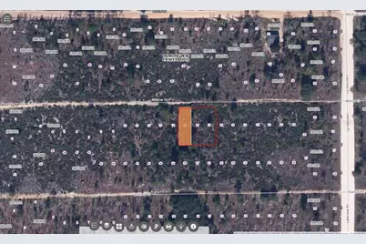 Willow St, Interlachen, FL 32148 - Photo 2