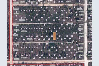 00 Banvon Street, Interlachen, FL 32148 - Photo 2