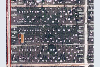 00 Banvon Street, Interlachen, FL 32148 - Photo 2