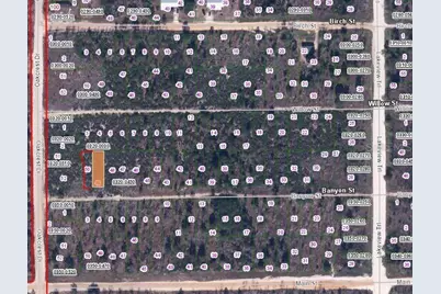00 Banvon Street, Interlachen, FL 32148 - Photo 2