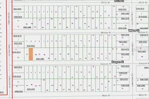 00 Banvon St, Interlachen, FL 32148 - Photo 1