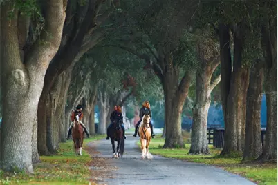 0 SE 8th Avenue #Lot 5, Ocala, FL 34480 - Photo 4