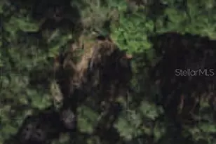 0 SE 131st Pl, Belleview, FL 34420 - Photo 1