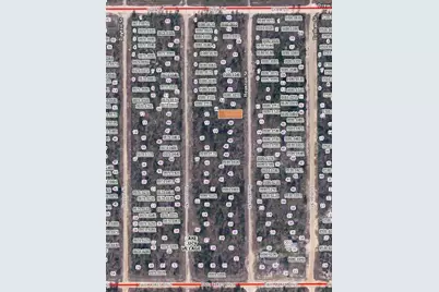 00 Houston Street, Interlachen, FL 32148 - Photo 2