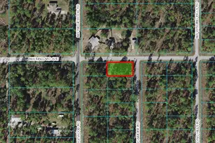 NW Mallard Ave & SW Sycamore Rd, Dunnellon, FL 34431 - Photo 1