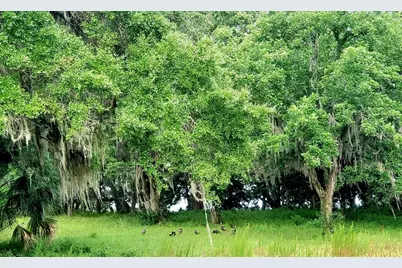 1077 SW 144th Court Road, Ocala, FL 34481 - Photo 16