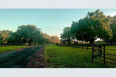 1077 SW 144th Court Road, Ocala, FL 34481 - Photo 14