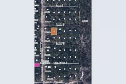 103 Nocatee Drive, Florahome, FL 32140 - Photo 2