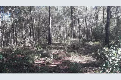 Ne 45th Terrace, Citra, FL 32113 - Photo 2