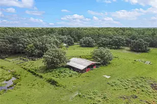 3350 NE 125th Terrace Rd, Silver Springs, FL 34488 - Photo 14