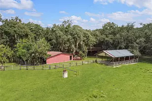 3350 NE 125th Terrace Rd, Silver Springs, FL 34488 - Photo 10