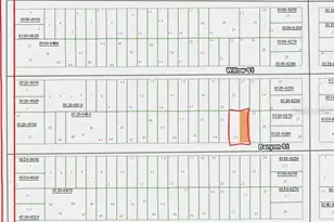 00 Banvon St, Interlachen, FL 32148 - Photo 1
