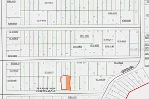 00 Banvon, Interlachen, FL 32148 - Photo 1
