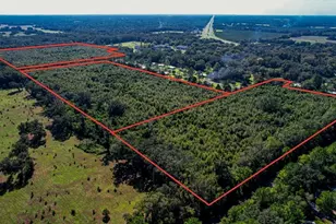 205 Ave NE, Williston, FL 32696 - Photo 1