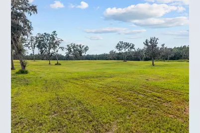 Tbd W 316 Highway, Reddick, FL 32686 - Photo 6