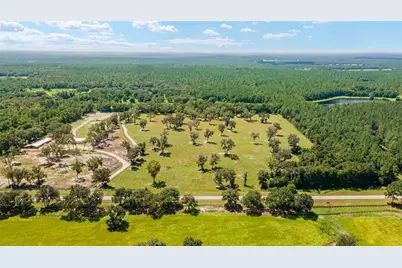 Tbd W 316 Highway, Reddick, FL 32686 - Photo 2