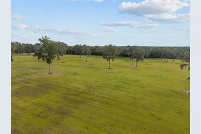 Tbd W 316 Highway, Reddick, FL 32686 - Photo 8