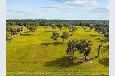 Tbd W 316 Highway, Reddick, FL 32686 - Photo 2