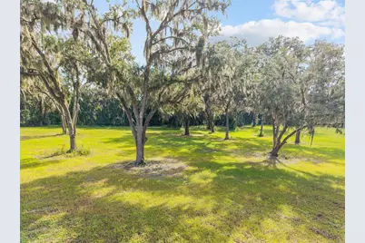 Tbd W 316 Highway, Reddick, FL 32686 - Photo 16