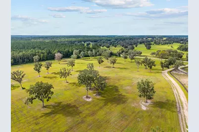 Tbd W 316 Highway, Reddick, FL 32686 - Photo 20