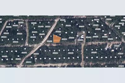 00 Dottie Street, Interlachen, FL 32148 - Photo 1