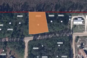 00 Greenley St, Interlachen, FL 32148 - Photo 1
