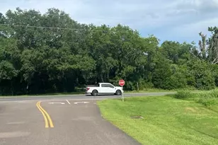 3231 NE Hwy 41, Williston, FL 32696 - Photo 10