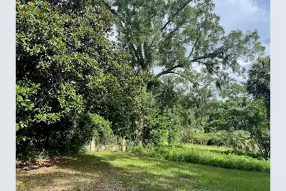 3231 NE Hwy 41, Williston, FL 32696 - Photo 12