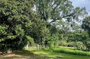 3231 NE Hwy 41, Williston, FL 32696 - Photo 12