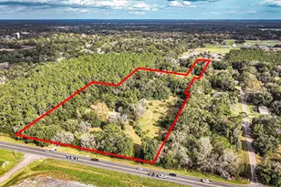 3231 NE Hwy 41, Williston, FL 32696 - Photo 16