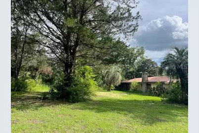 3231 NE Hwy 41, Williston, FL 32696 - Photo 4