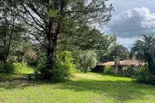 3231 NE Hwy 41, Williston, FL 32696 - Photo 4