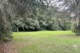 3231 NE Hwy 41, Williston, FL 32696 - Photo 6