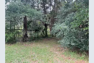 3231 NE Hwy 41, Williston, FL 32696 - Photo 20