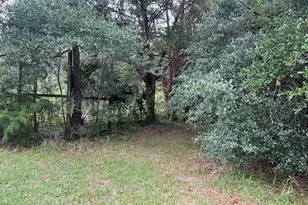 3231 NE Hwy 41, Williston, FL 32696 - Photo 20