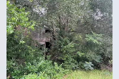 3231 NE Hwy 41, Williston, FL 32696 - Photo 22