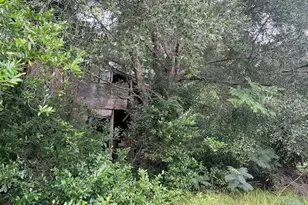 3231 NE Hwy 41, Williston, FL 32696 - Photo 22