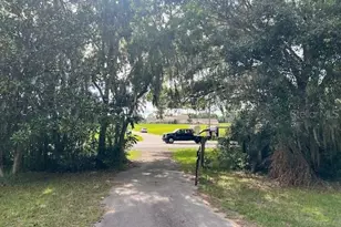 3231 NE Hwy 41, Williston, FL 32696 - Photo 26